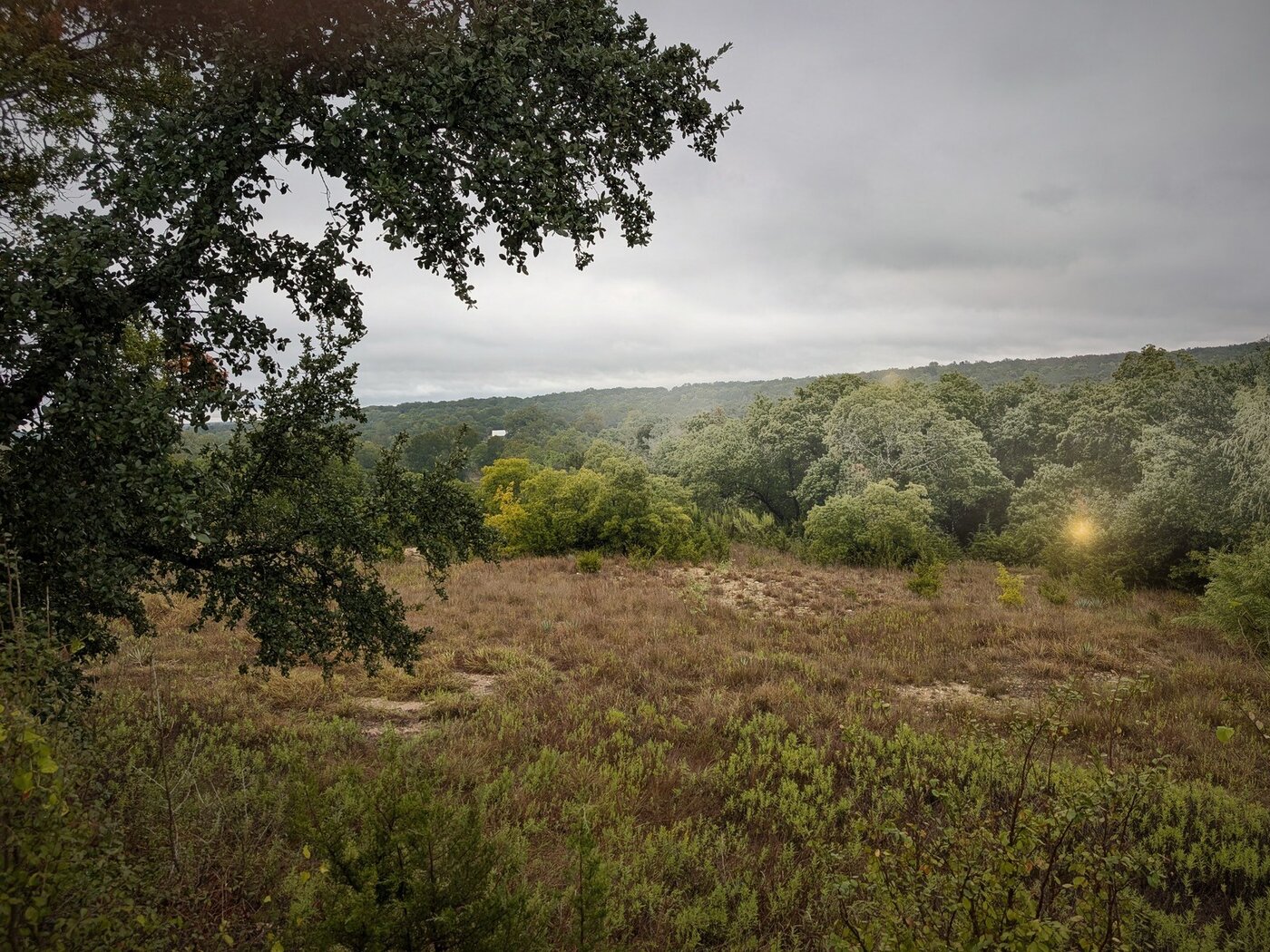 View from the front porch over Kanati Ranch, fog in the far trees, one lamp glowing.